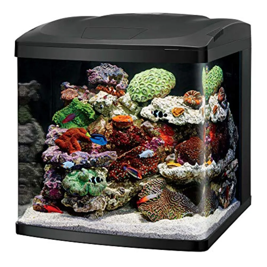 Aquarium Kit for Saltwater and Freshwater Environments, 32 Gallon, Acrylic, Black, Integrated 24-hour Timer and Customizable LE
Aquarium Kit for Saltwater and Freshwater Environments, 32 Gallon, Acrylic, Black, Integrated 24-hour Timer and Customizable LE