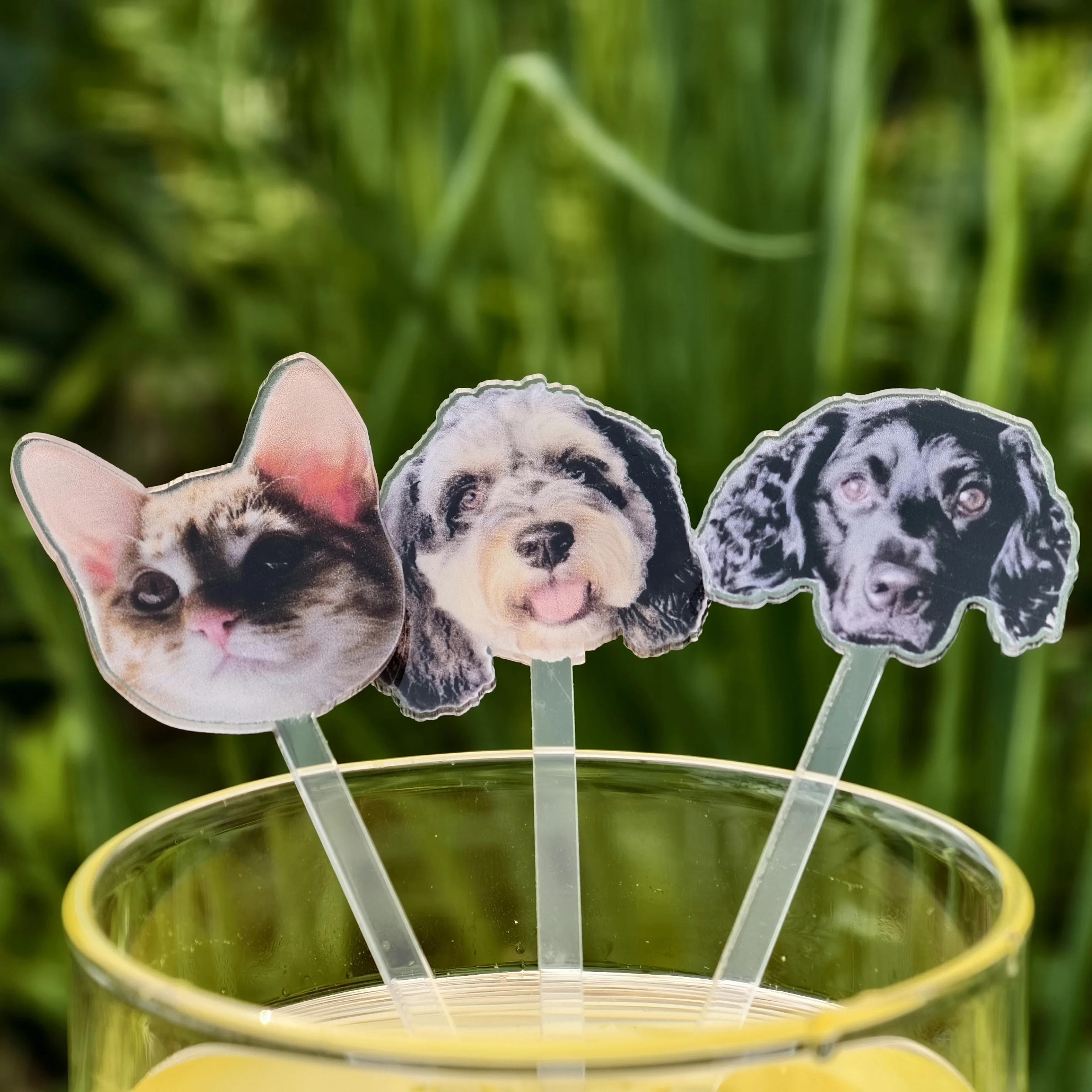 Personalized Pet Cocktail Stirrers Custom Pet Drink Stir Baptism souvenir Acrylic Party Drink Stirs Wedding Cocktail Stirrer
Personalized Pet Cocktail Stirrers Custom Pet Drink Stir Baptism souvenir Acrylic Party Drink Stirs Wedding Cocktail Stirrer