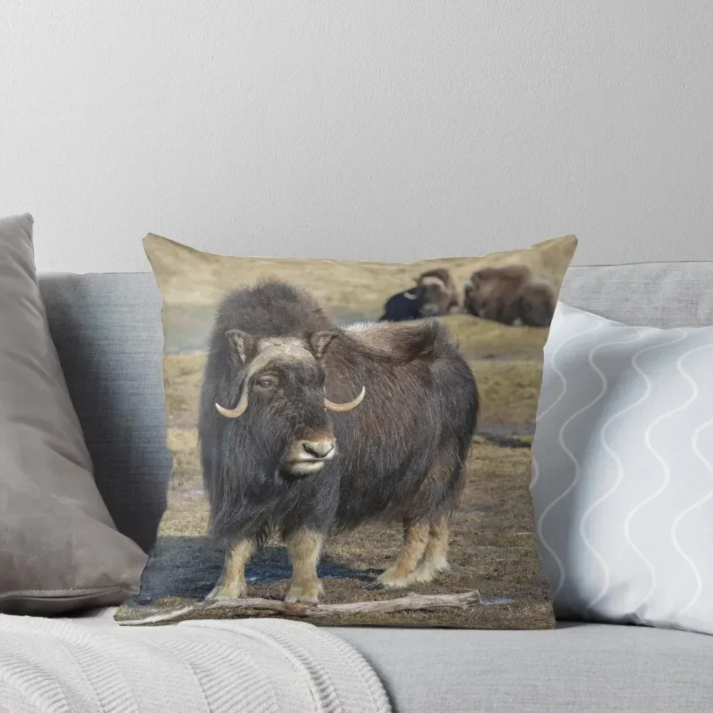 Arctic Muskox Throw Pillow Covers For Sofas Rectangular Cushion Cover Custom Cushion Ornamental Pillow pillow
Arctic Muskox Throw Pillow Covers For Sofas Rectangular Cushion Cover Custom Cushion Ornamental Pillow pillow