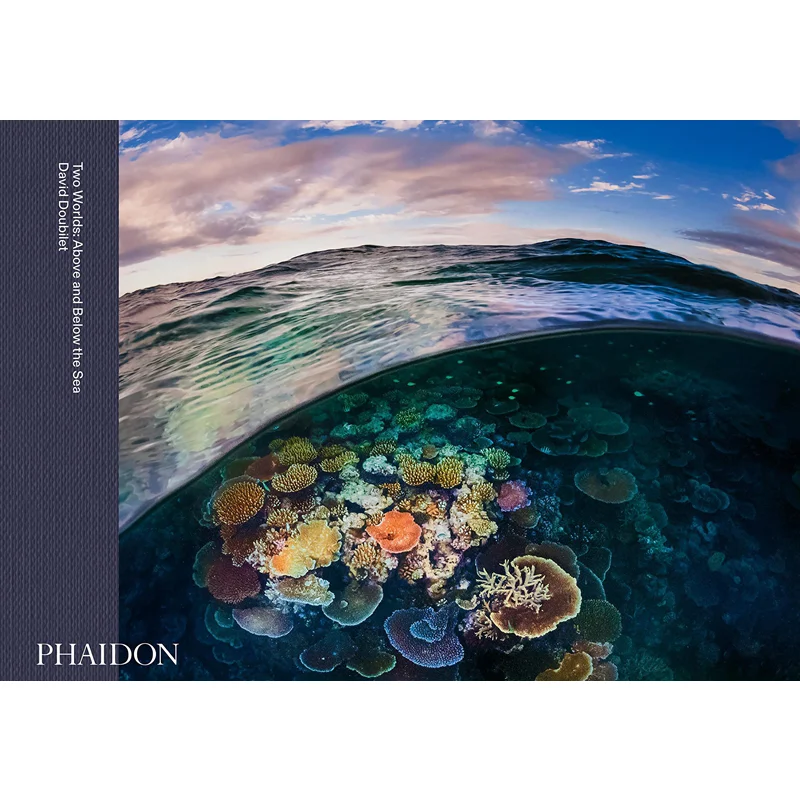 Two Worlds Above And Below The Sea David David Phaidon Press 9781838663186 Book
Two Worlds Above And Below The Sea David David Phaidon Press 9781838663186 Book