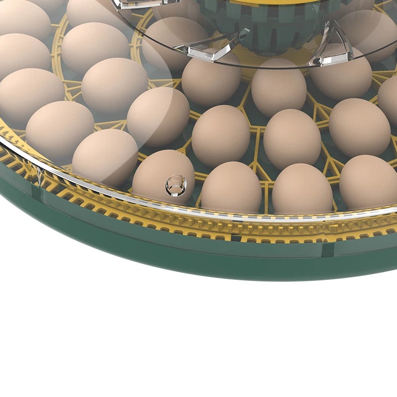 Fully Automatic Incubator Machine for Hatching 52 Egg Incubator Chicken Eggs
Fully Automatic Incubator Machine for Hatching 52 Egg Incubator Chicken Eggs