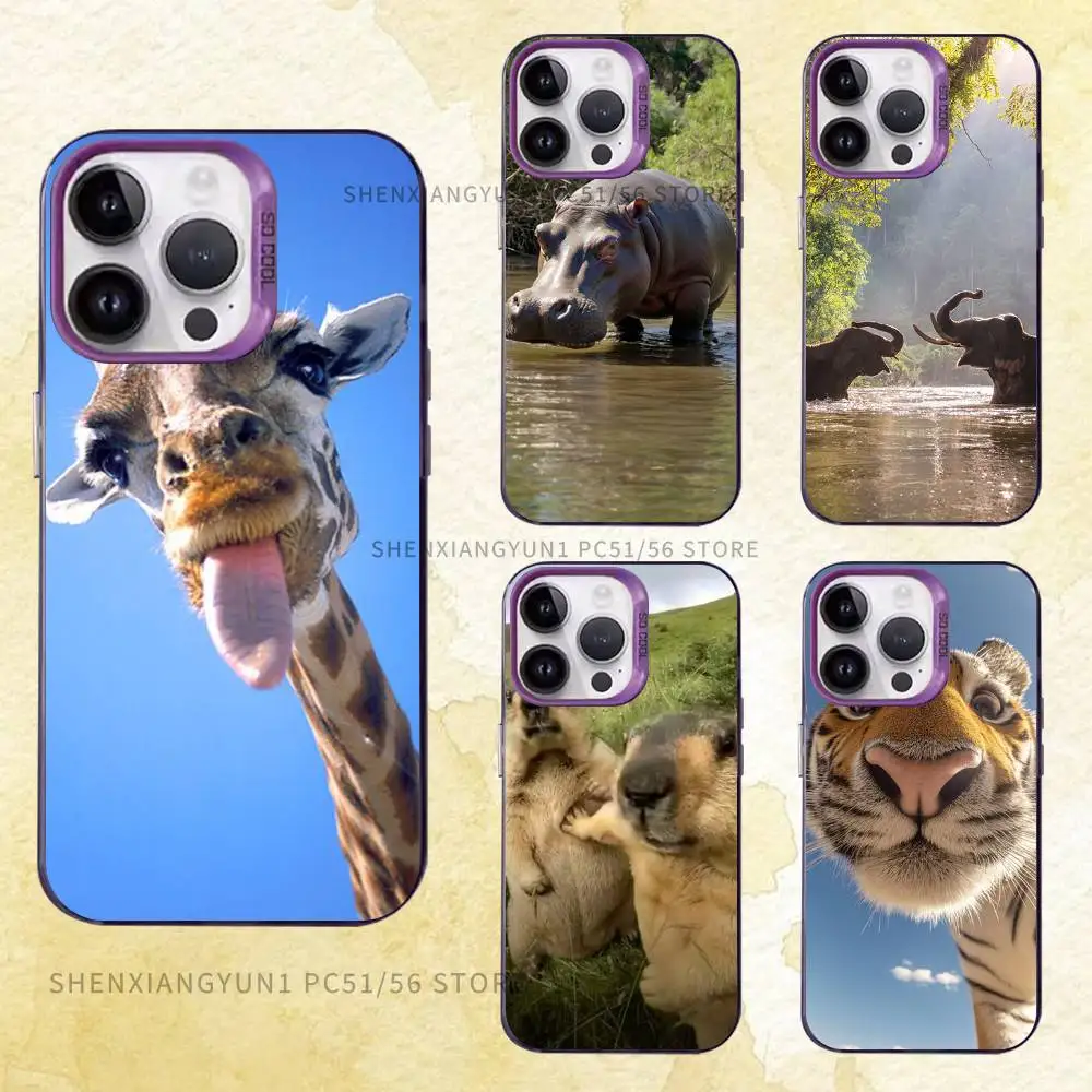 Funny Animals Case for iPhone 11 12 13 14 15 16 17 Pro Max XS X XR Cover
Funny Animals Case for iPhone 11 12 13 14 15 16 17 Pro Max XS X XR Cover