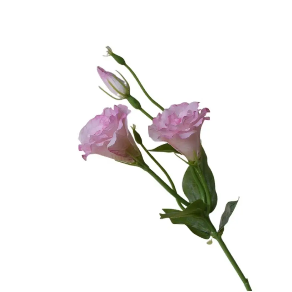 Real Touch Artificial Lisianthus Flowers Silk Flowers Lifelike Fake Eustoma Flower DIY Bridal Bouquet Artificial Bouquet 
Real Touch Artificial Lisianthus Flowers Silk Flowers Lifelike Fake Eustoma Flower DIY Bridal Bouquet Artificial Bouquet