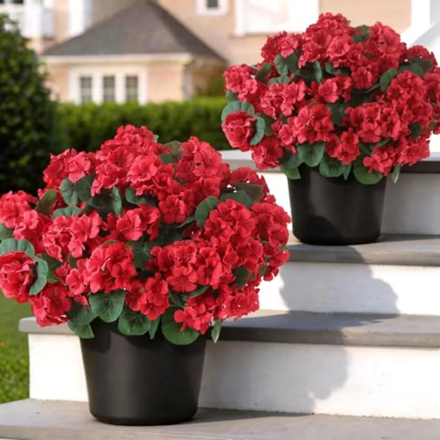 2 Pack Artificial Geranium Flowers Topitary Trees for Outdoors, UV Resistant Geraniums Potted Bushes Look Real Silk Faux Plants
2 Pack Artificial Geranium Flowers Topitary Trees for Outdoors, UV Resistant Geraniums Potted Bushes Look Real Silk Faux Plants