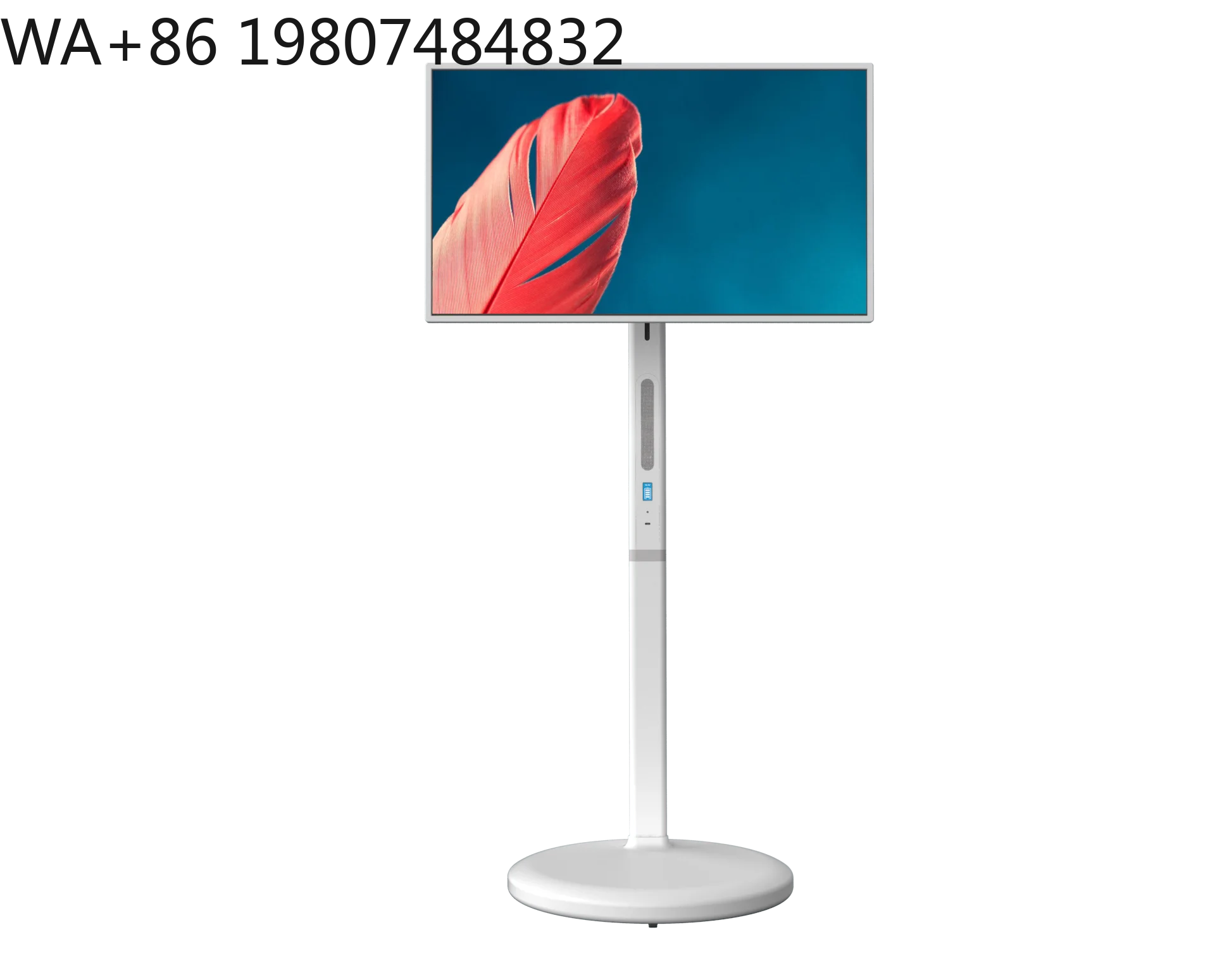 32-Inch MTK8788 Android 13 Smart Portable TV , LED 128GB Built-In Battery 7800mAh White Touch Screen Rotating Function
32-Inch MTK8788 Android 13 Smart Portable TV , LED 128GB Built-In Battery 7800mAh White Touch Screen Rotating Function