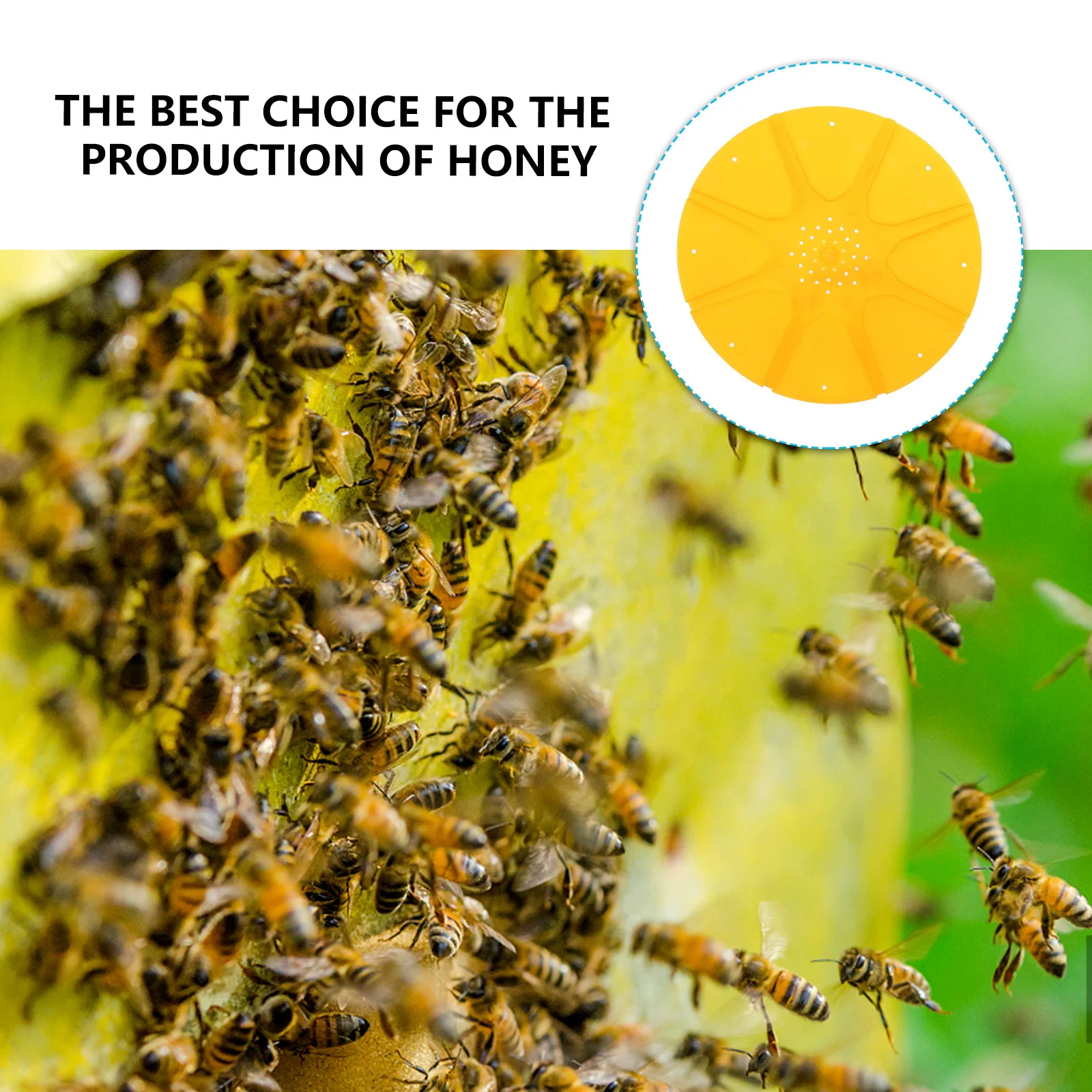 5pcs Bee Escapes Kit 8-Way Round Bee Escape Disc For Hive Beekeeping Tool Fast Colony Transfer Bees Hive Door Beekeeping
5pcs Bee Escapes Kit 8-Way Round Bee Escape Disc For Hive Beekeeping Tool Fast Colony Transfer Bees Hive Door Beekeeping