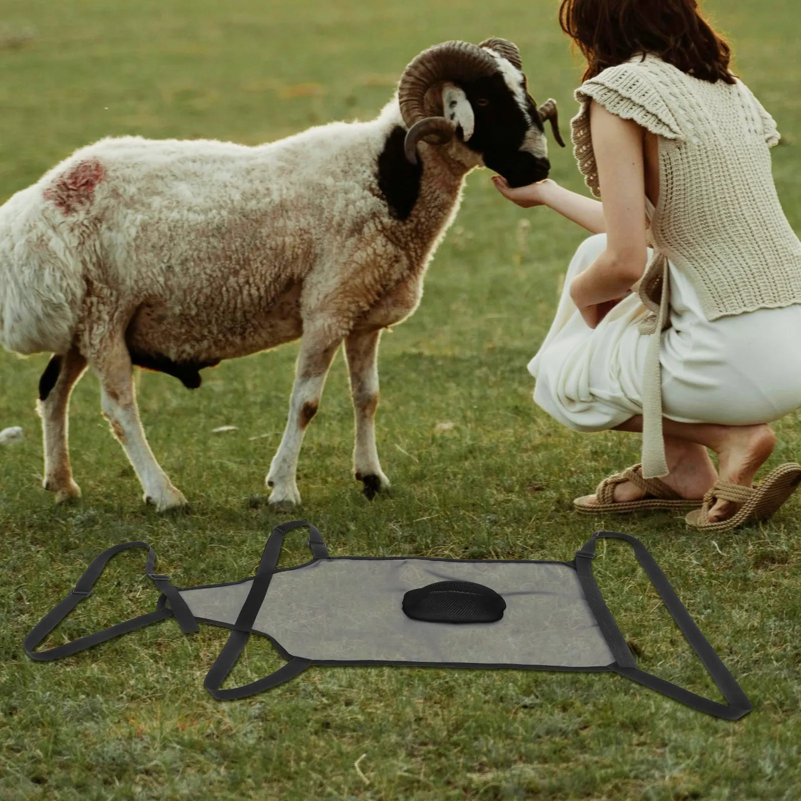 Goat Apron Black Adjustable Strap Anti Breeding Sheep Skirt Control Buck Anti Mating Farm Livestock Breeding Prevention Cover
Goat Apron Black Adjustable Strap Anti Breeding Sheep Skirt Control Buck Anti Mating Farm Livestock Breeding Prevention Cover