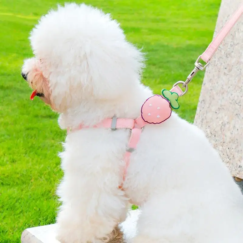 Dog Harness and Leash Set Vest-style Small Dog Harness Breathable and Adjustable Harness for Cats and Puppies for Outdoor Travel
Dog Harness and Leash Set Vest-style Small Dog Harness Breathable and Adjustable Harness for Cats and Puppies for Outdoor Travel