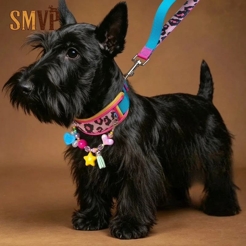 Pink Blue Leopard Print Dog Collar Leash Set Soft Padded Neck Protective Collar for Small Dogs Dopamine Color Pet Walking Kit
Pink Blue Leopard Print Dog Collar Leash Set Soft Padded Neck Protective Collar for Small Dogs Dopamine Color Pet Walking Kit