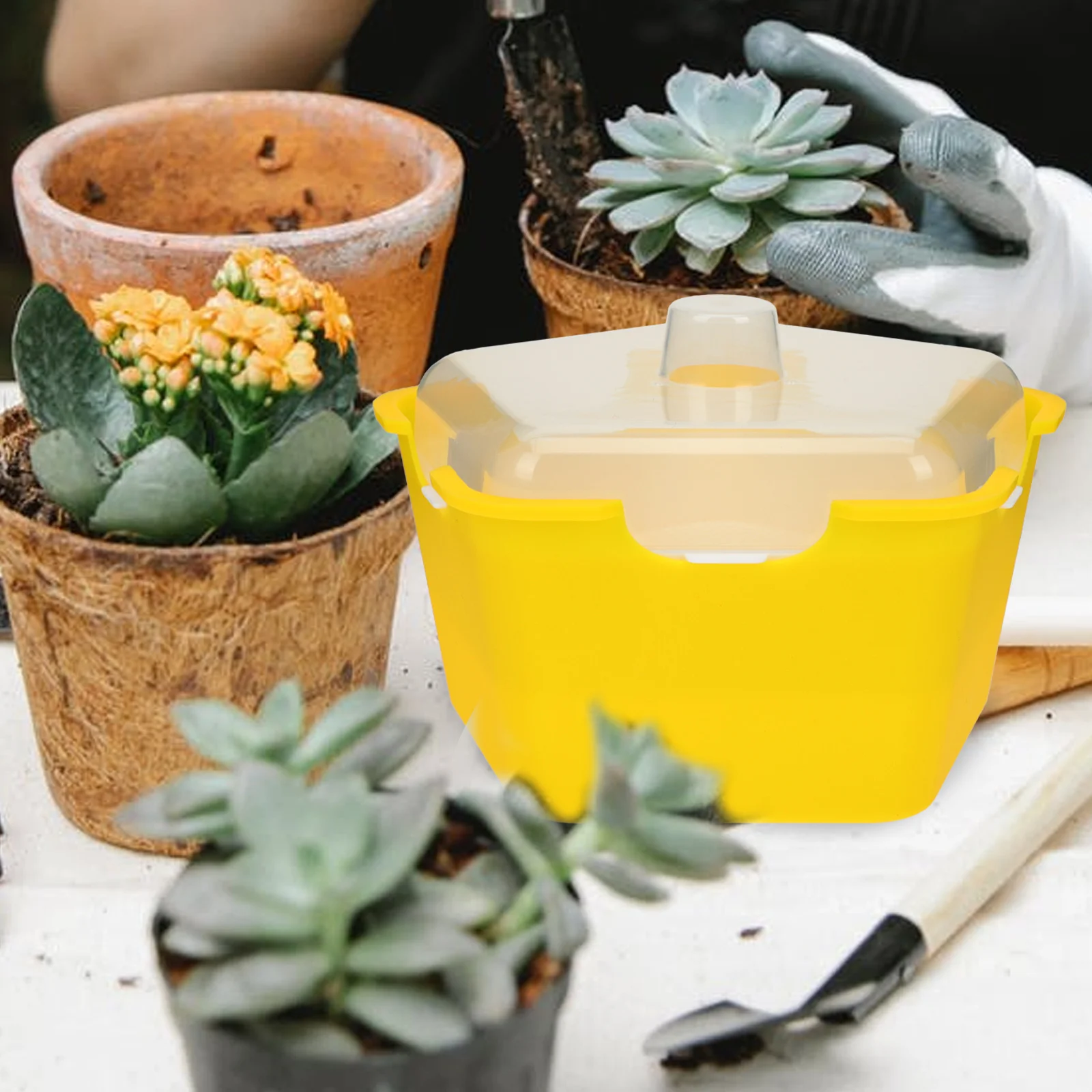 High Quality Plastic Germination Trays Plant Growing Starters Durable Large Capacity Nursery Tray Soy Bean Wheatgrass
High Quality Plastic Germination Trays Plant Growing Starters Durable Large Capacity Nursery Tray Soy Bean Wheatgrass