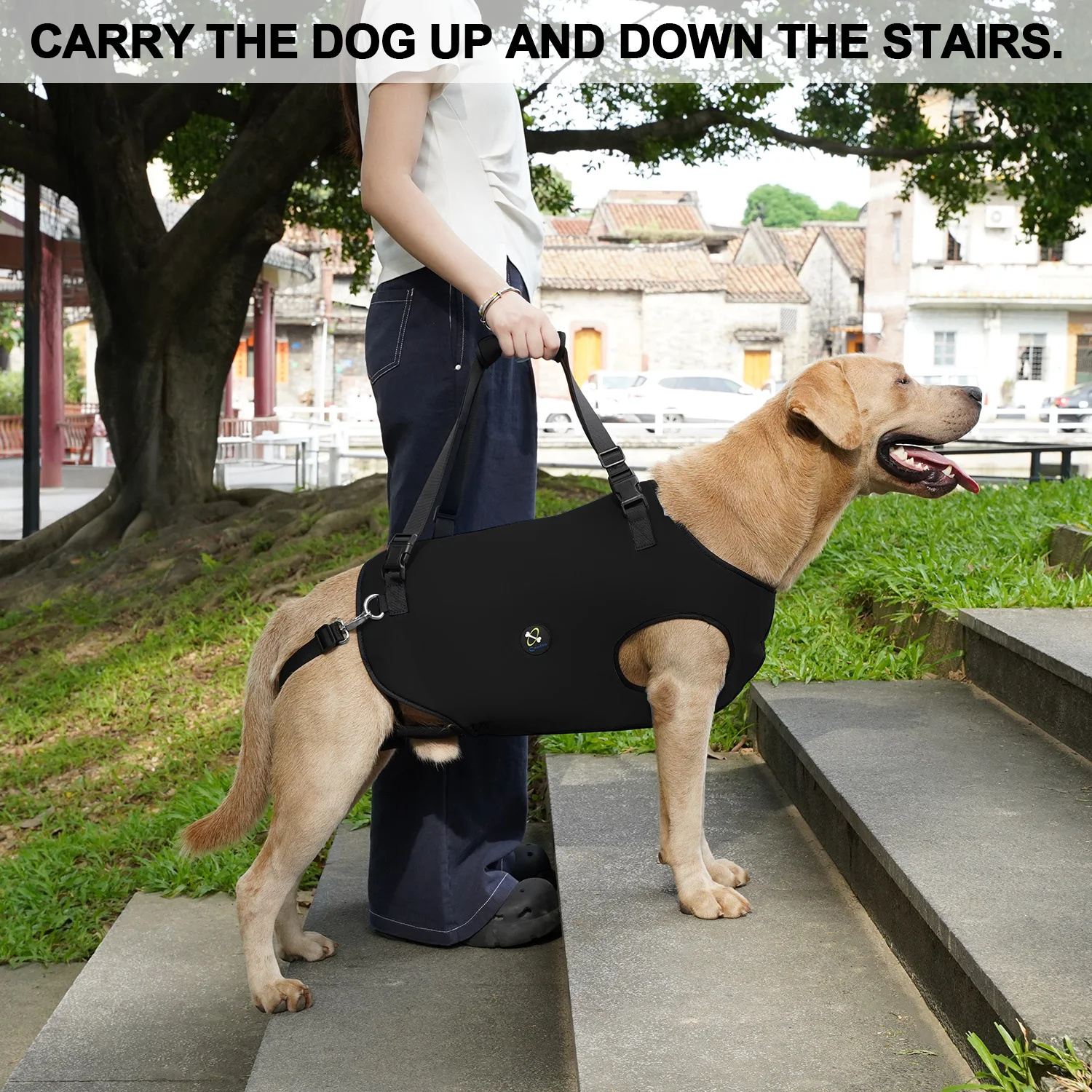 Подъемный ремень Coodeo для собак, поддерживающий и реабилитационный, регулируемый, с мягкими дышащими лямками, размеры XXL-XS, черный
Подъемный ремень Coodeo для собак, поддерживающий и реабилитационный, регулируемый, с мягкими дышащими лямками, размеры XXL-XS, черный