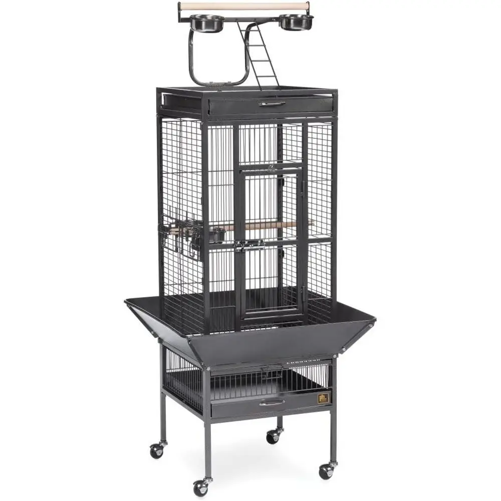 Wrought Iron Select Bird Cage - Durable Steel Cage with Rolling Stand and Seed Guards, Ideal or Cockatiels and Medium Birds - Bl
Wrought Iron Select Bird Cage - Durable Steel Cage with Rolling Stand and Seed Guards, Ideal or Cockatiels and Medium Birds - Bl