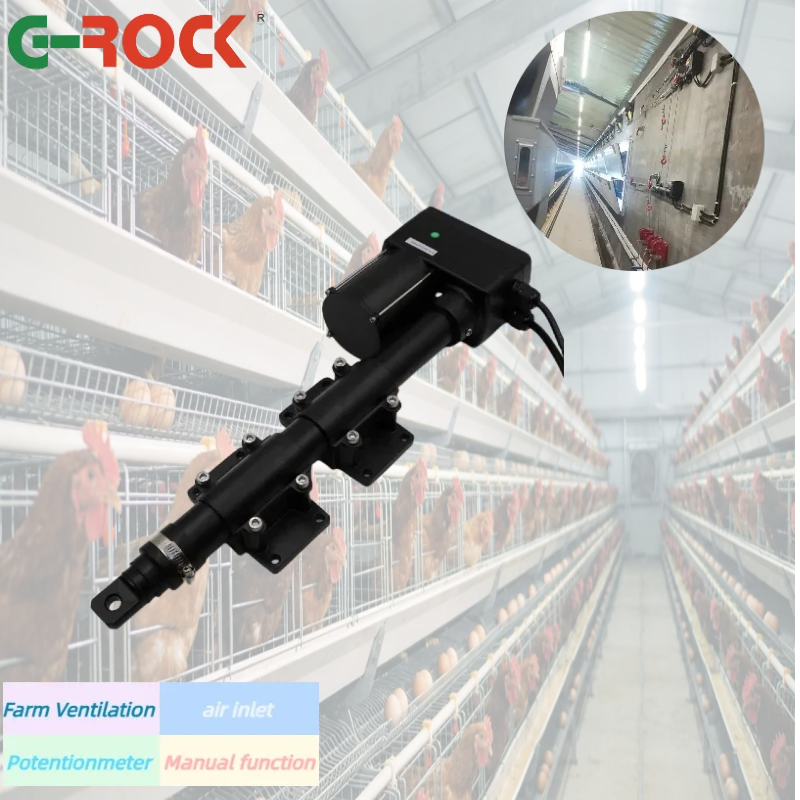 24V 5000N Linear Actuator IP66 Waterproof for Chicken Coop Ventilation Windows
24V 5000N Linear Actuator IP66 Waterproof for Chicken Coop Ventilation Windows