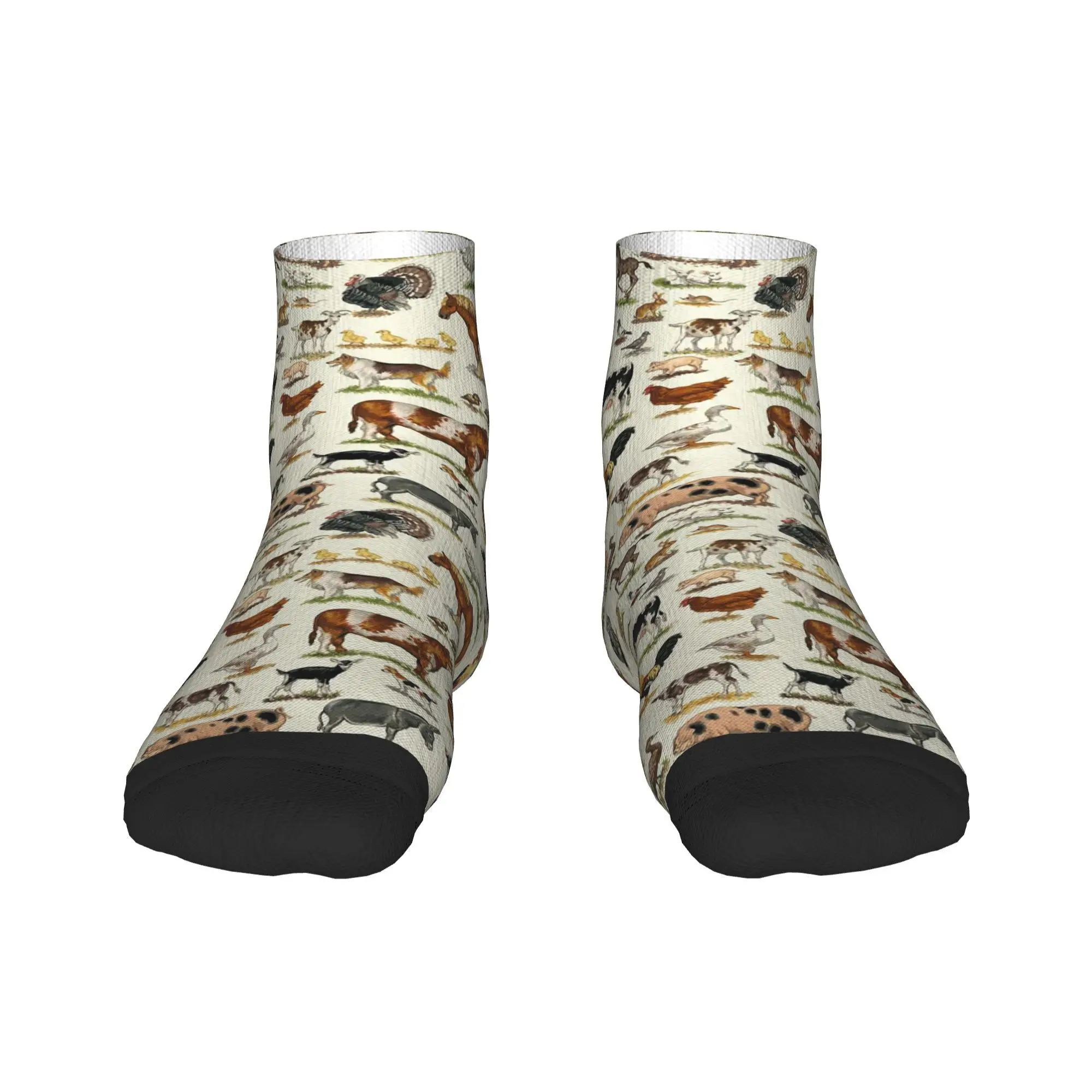 Country Farm Animals Farmhouse Village Pet Socks Harajuku Super Soft Stockings All Season Socks Accessories for Unisex Gifts
Country Farm Animals Farmhouse Village Pet Socks Harajuku Super Soft Stockings All Season Socks Accessories for Unisex Gifts