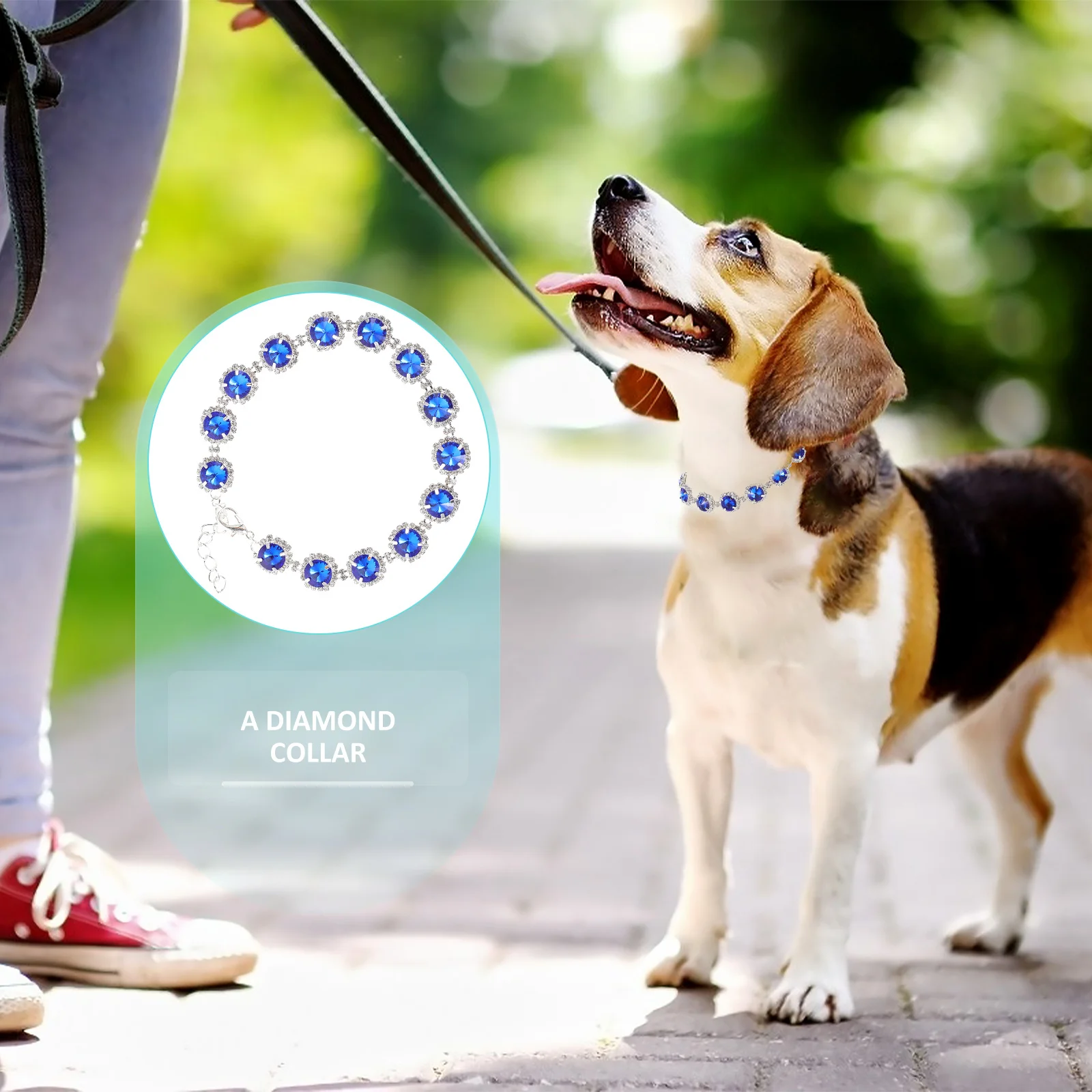 Delicate Pet Collar Adjustable Dog Collar Comfortable Wearing Experience Cozy Decorate Pets Birthday Party Memories
Delicate Pet Collar Adjustable Dog Collar Comfortable Wearing Experience Cozy Decorate Pets Birthday Party Memories