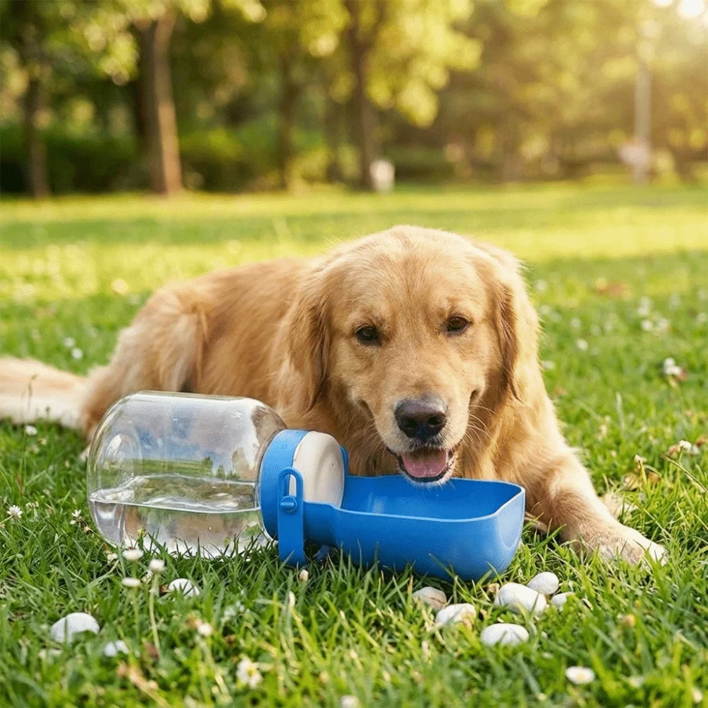 2 in 1 Design Dog Water Bottle Large Capacity Drinking Feeder Pet Drinking Bottle Plastic Leak-Proof Dog Outing Kettle
2 in 1 Design Dog Water Bottle Large Capacity Drinking Feeder Pet Drinking Bottle Plastic Leak-Proof Dog Outing Kettle