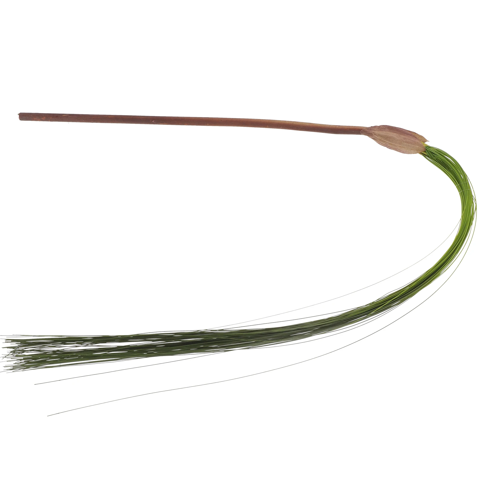 Versatile Faux Floral Wall Decor Realistic Fake Plant For Shop Window Office Decoration Plastic Grass
Versatile Faux Floral Wall Decor Realistic Fake Plant For Shop Window Office Decoration Plastic Grass