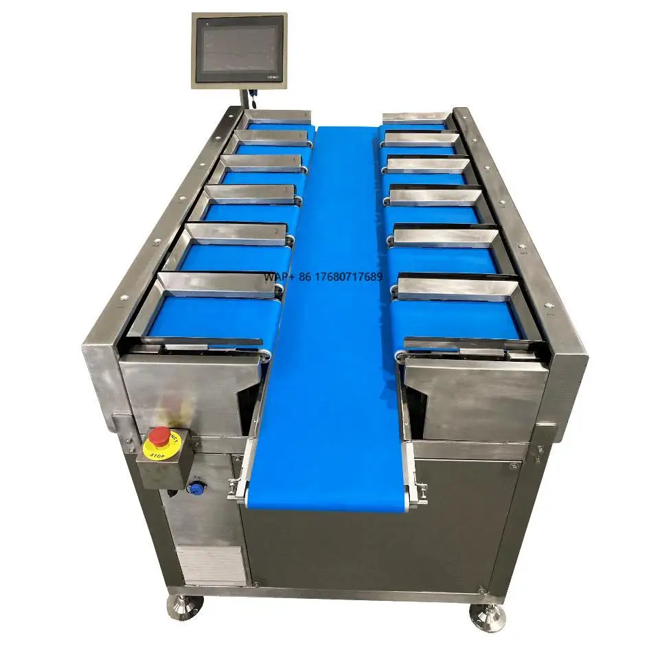Manual Belt Weigher Food Fish and Meat Weight Belt Type Combination Weigher Weighing Packaging Machine Equipment
Manual Belt Weigher Food Fish and Meat Weight Belt Type Combination Weigher Weighing Packaging Machine Equipment