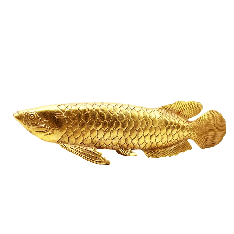 Pure copper carp ornaments tong yu Arowana has more than a gift every year.
Pure copper carp ornaments tong yu Arowana has more than a gift every year.