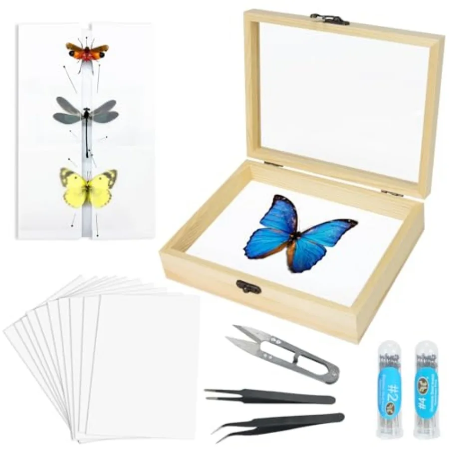 Making Insect Specimen Tools Kit - Insect Pins, Shadow Box, Pinning Board, Wings Pressing Paper, Tweezers, Scissors - Collectio
Making Insect Specimen Tools Kit - Insect Pins, Shadow Box, Pinning Board, Wings Pressing Paper, Tweezers, Scissors - Collectio