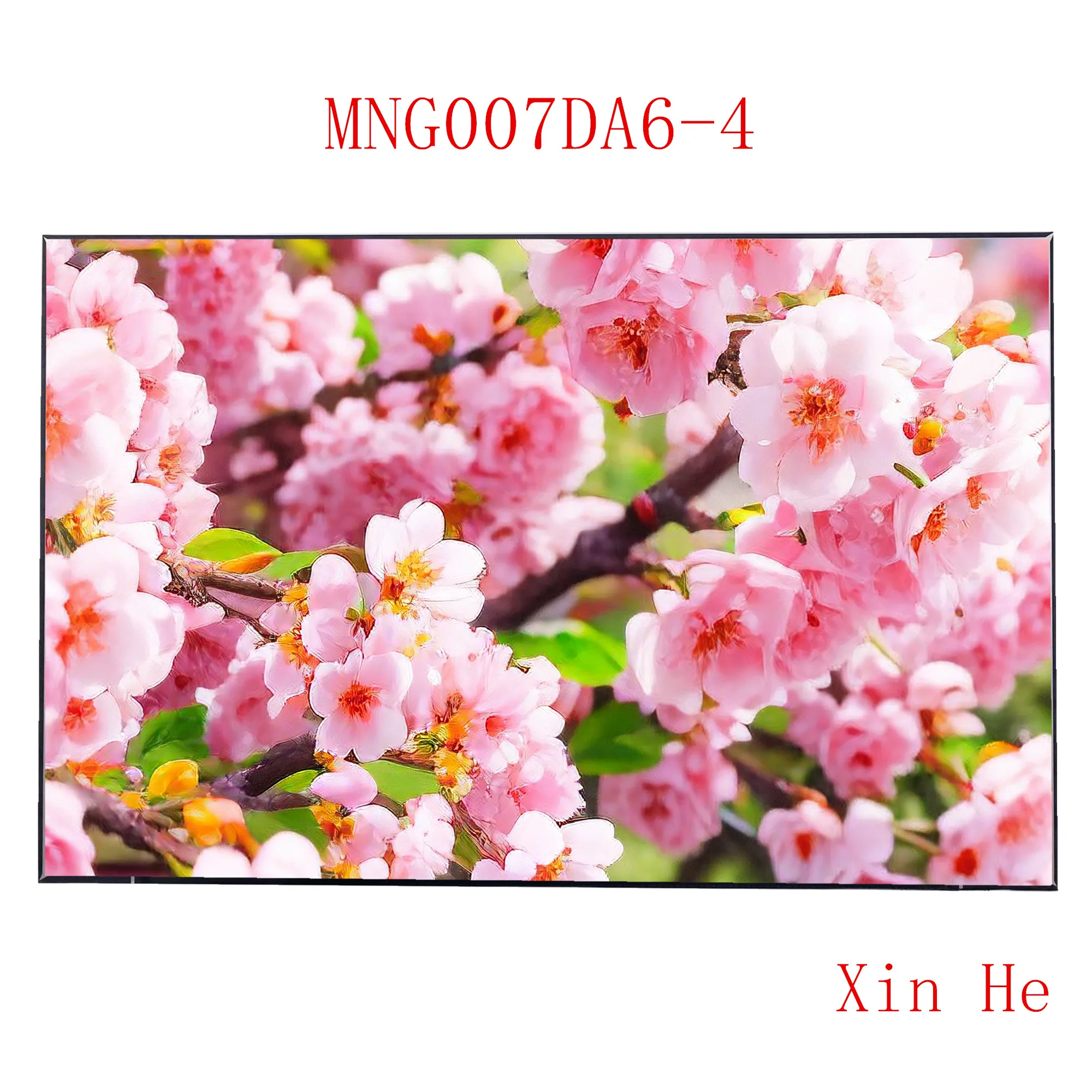 16.0'' QHD LCD Screen MNG007DA6-4 IPS 2560*1600 Display Panel Matrix
16.0'' QHD LCD Screen MNG007DA6-4 IPS 2560*1600 Display Panel Matrix