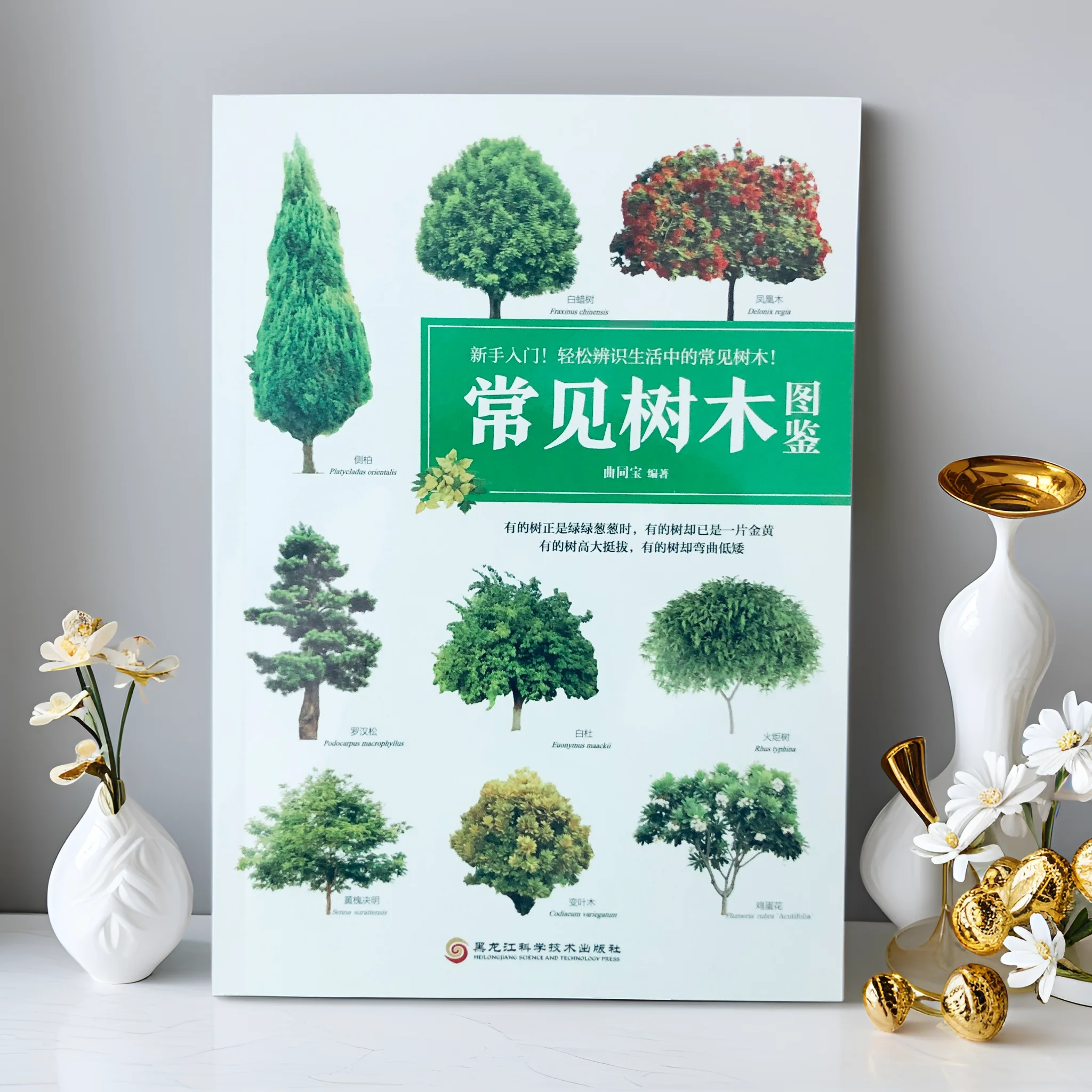 Tree Identification Encyclopedia - Illustrated Guide to 500+ Species with Bark/Leaf Keys & Habitat Maps
Tree Identification Encyclopedia - Illustrated Guide to 500+ Species with Bark/Leaf Keys & Habitat Maps