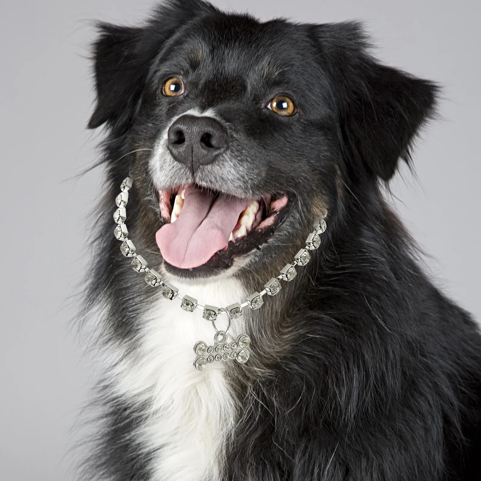 Dog Rhinestone Necklace Adjustable Pet Cat Collar Stylish Metal Jewelry for Daily Wear Parties Events Dog Necklace
Dog Rhinestone Necklace Adjustable Pet Cat Collar Stylish Metal Jewelry for Daily Wear Parties Events Dog Necklace