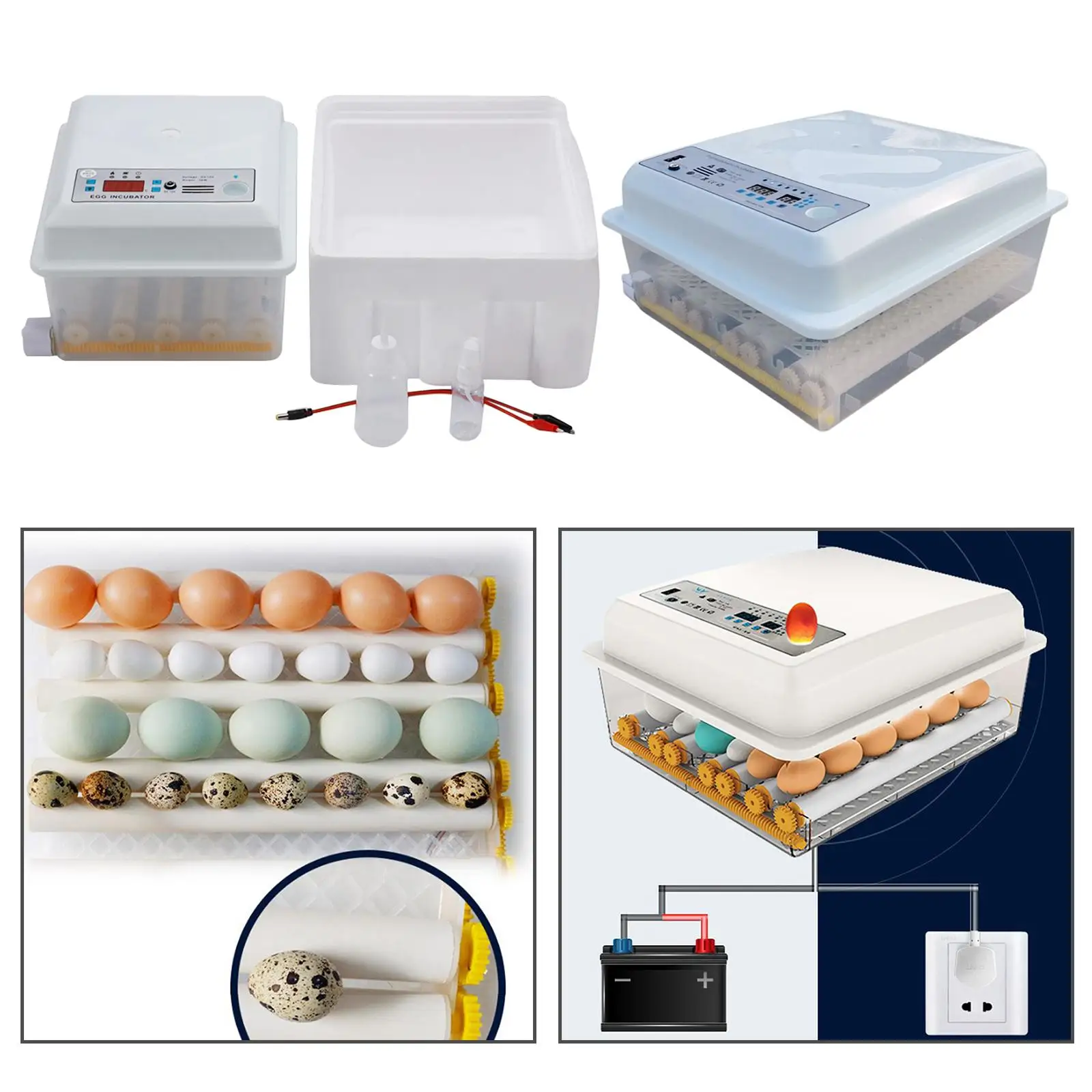 1 Egg Incubator for Hatching Eggs, Digital Mini Incubator with Automatic Turner
1 Egg Incubator for Hatching Eggs, Digital Mini Incubator with Automatic Turner