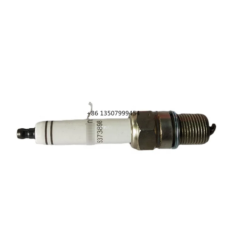 5373898 Industry Engine Spark Plug
5373898 Industry Engine Spark Plug