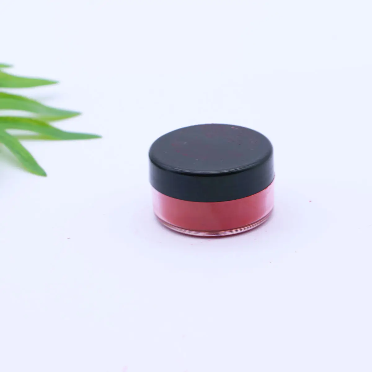 Orange Red Lipstick Powder Natural Pigments Waterproof Sweatproof DIY Makeup Shimmer Pigments Lipstick Palette Powders for Lips
Orange Red Lipstick Powder Natural Pigments Waterproof Sweatproof DIY Makeup Shimmer Pigments Lipstick Palette Powders for Lips