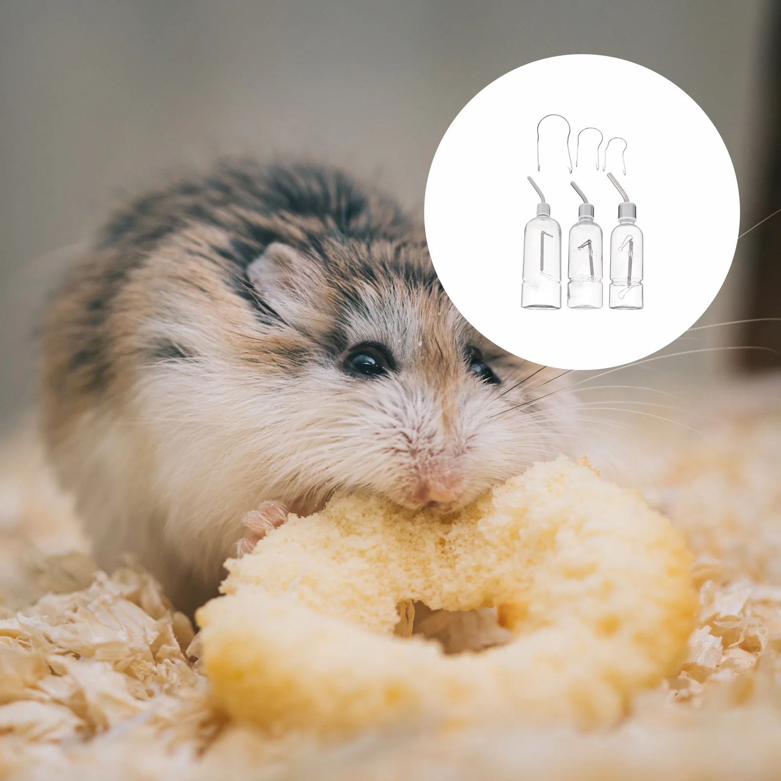 3Pcs Hamster Water Bottle Transparent Stainless Steel Automatic Feeder Pet Cage Accessory Small Animal Drinking Fountain Pet
3Pcs Hamster Water Bottle Transparent Stainless Steel Automatic Feeder Pet Cage Accessory Small Animal Drinking Fountain Pet