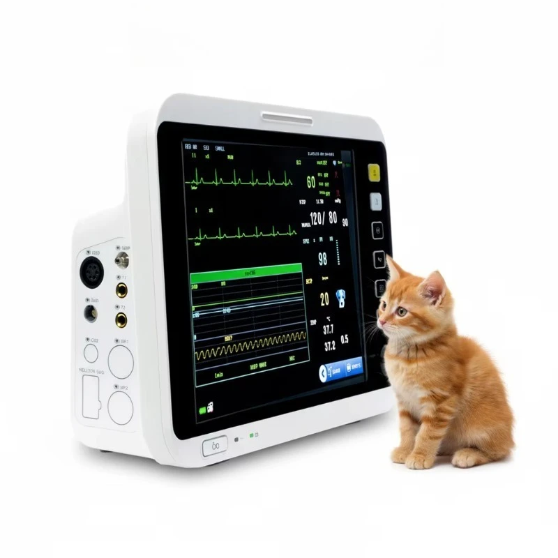 Veterinary Equipment EX-19 Vet Patient Monitor Portable TFT Screen Animal Patient Critical Care Multi-parameter Monitor
Veterinary Equipment EX-19 Vet Patient Monitor Portable TFT Screen Animal Patient Critical Care Multi-parameter Monitor