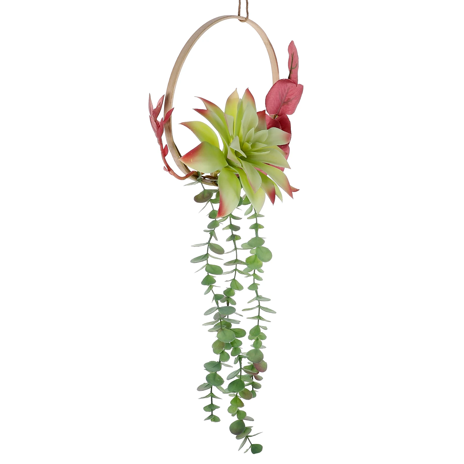 Artificial Succulent 20cm Bamboo Ring Home Decoration Wall Hanging Indoor Outdoor Party Holiday Greenery Plants
Artificial Succulent 20cm Bamboo Ring Home Decoration Wall Hanging Indoor Outdoor Party Holiday Greenery Plants