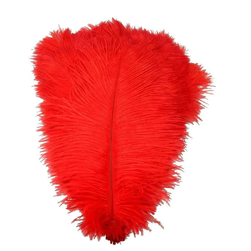 5pcs Ostrich Decorative Natural Ostrich Mask Hair for Crafts Costume Trimmings Home Wedding Sewing
5pcs Ostrich Decorative Natural Ostrich Mask Hair for Crafts Costume Trimmings Home Wedding Sewing