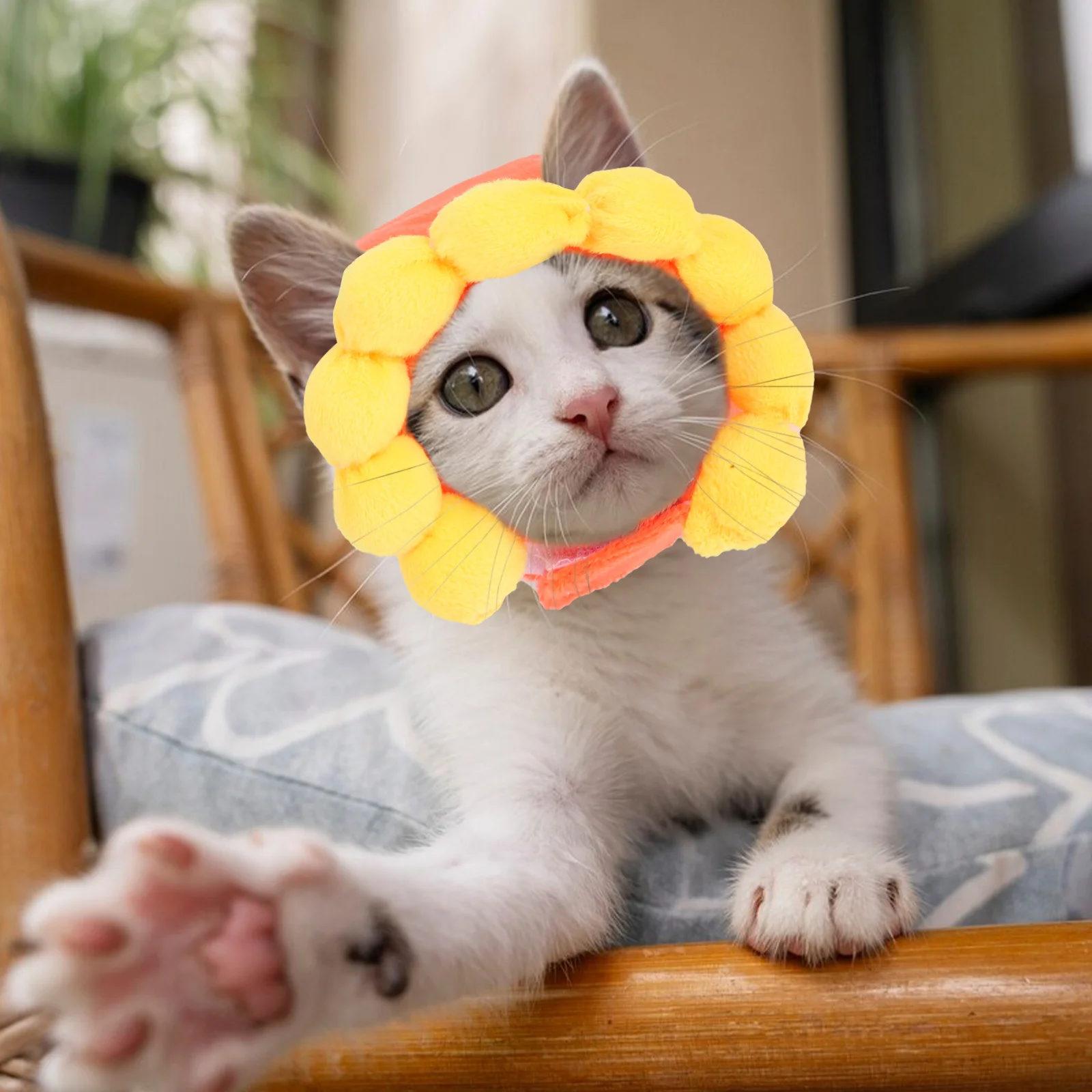 3Pcs Pet Party Hats Adorable Costume Bunny Ears Cat Headwear for Small Dogs Kitten Puppy Party Cute Pet Accessories
3Pcs Pet Party Hats Adorable Costume Bunny Ears Cat Headwear for Small Dogs Kitten Puppy Party Cute Pet Accessories