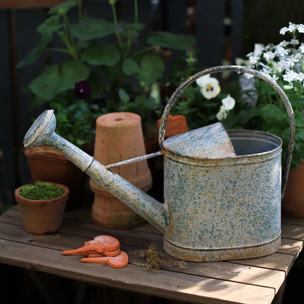 Wrought iron watering kettle Long mouth watering kettle Household large diameter succulent watering kettle Gardening tools Large
Wrought iron watering kettle Long mouth watering kettle Household large diameter succulent watering kettle Gardening tools Large
