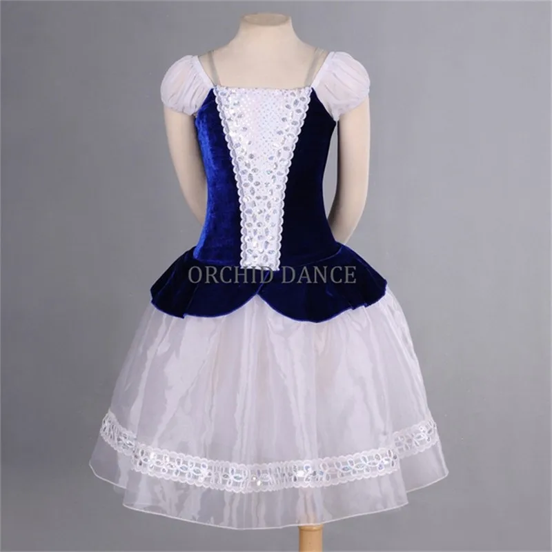 Hot Sale Custom Size Women Girls Performance Wear Long Velvet Blue Pink Romantic Tutu Dress
Hot Sale Custom Size Women Girls Performance Wear Long Velvet Blue Pink Romantic Tutu Dress