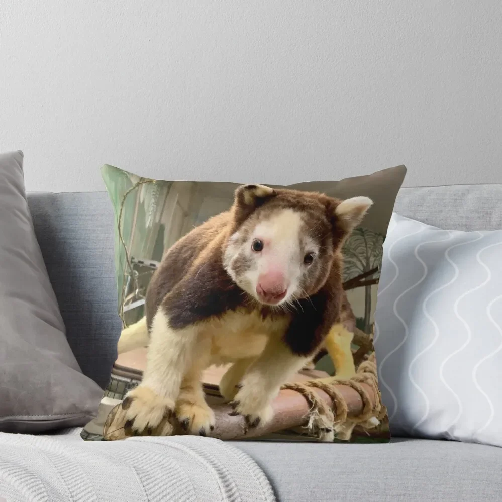 Tree Kangaroo Throw Pillow bed pillows Christmas Pillows Christmas Pillow Cases
Tree Kangaroo Throw Pillow bed pillows Christmas Pillows Christmas Pillow Cases