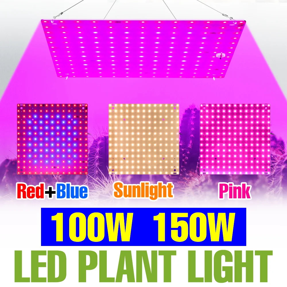 Светодиодная лампа для выращивания растений 150 Вт, полный спектр, для помещений, квантовая панель, для цветов, теплиц, фруктов, овощей, с вилкой US/EU
Светодиодная лампа для выращивания растений 150 Вт, полный спектр, для помещений, квантовая панель, для цветов, теплиц, фруктов, овощей, с вилкой US/EU