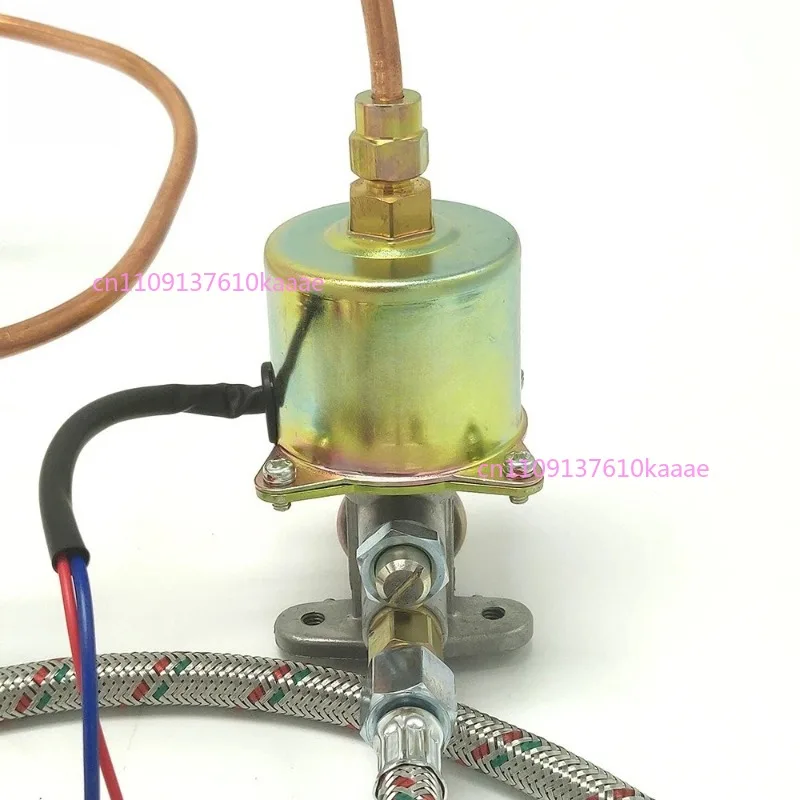 Electromagnetic Pump Combustion Engine Diesel Pump Atomization Pump Gasification Stove Accessories
Electromagnetic Pump Combustion Engine Diesel Pump Atomization Pump Gasification Stove Accessories