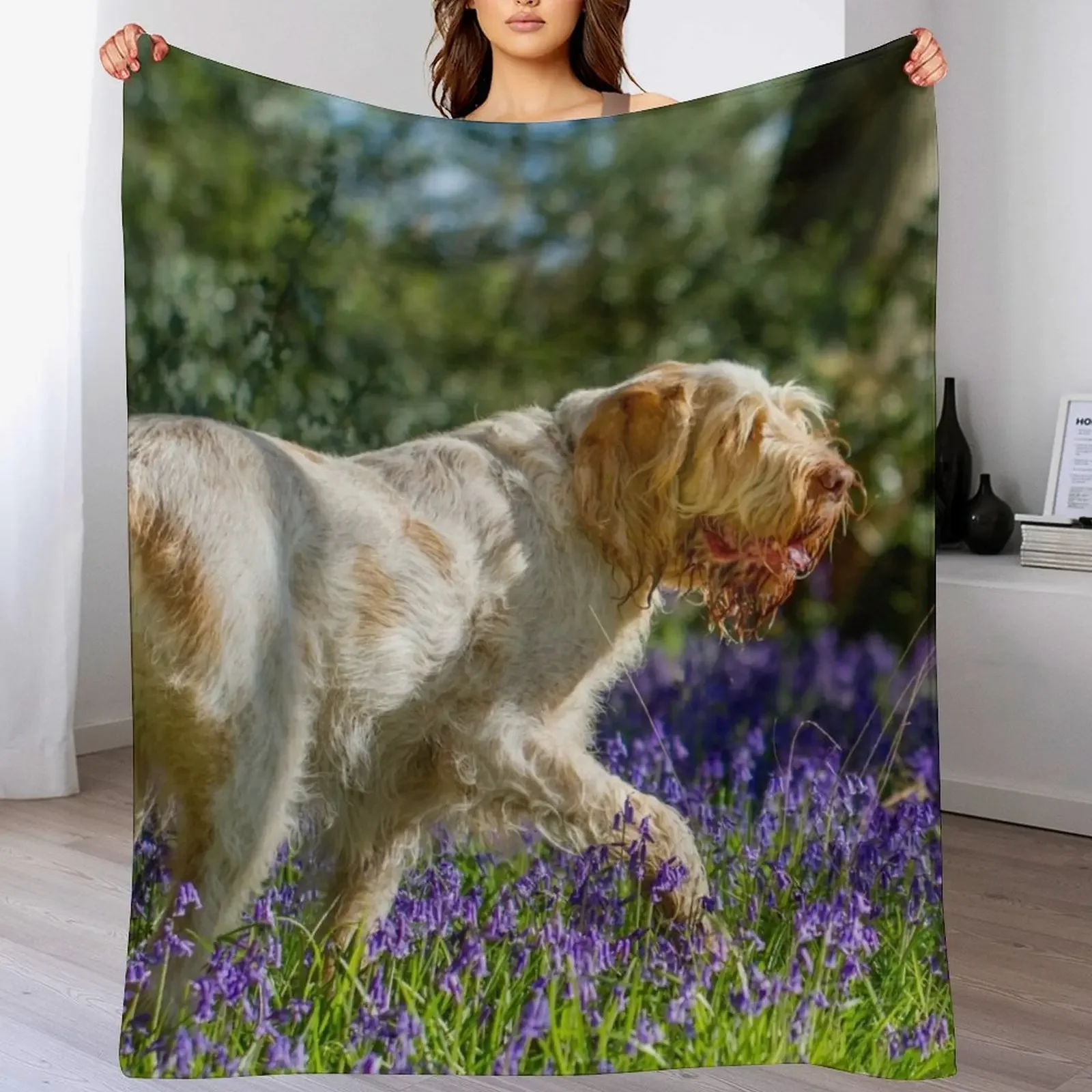Bluebell wood Spinone Throw Blanket Luxury Multi-Purpose christmas decoration Large Blankets
Bluebell wood Spinone Throw Blanket Luxury Multi-Purpose christmas decoration Large Blankets