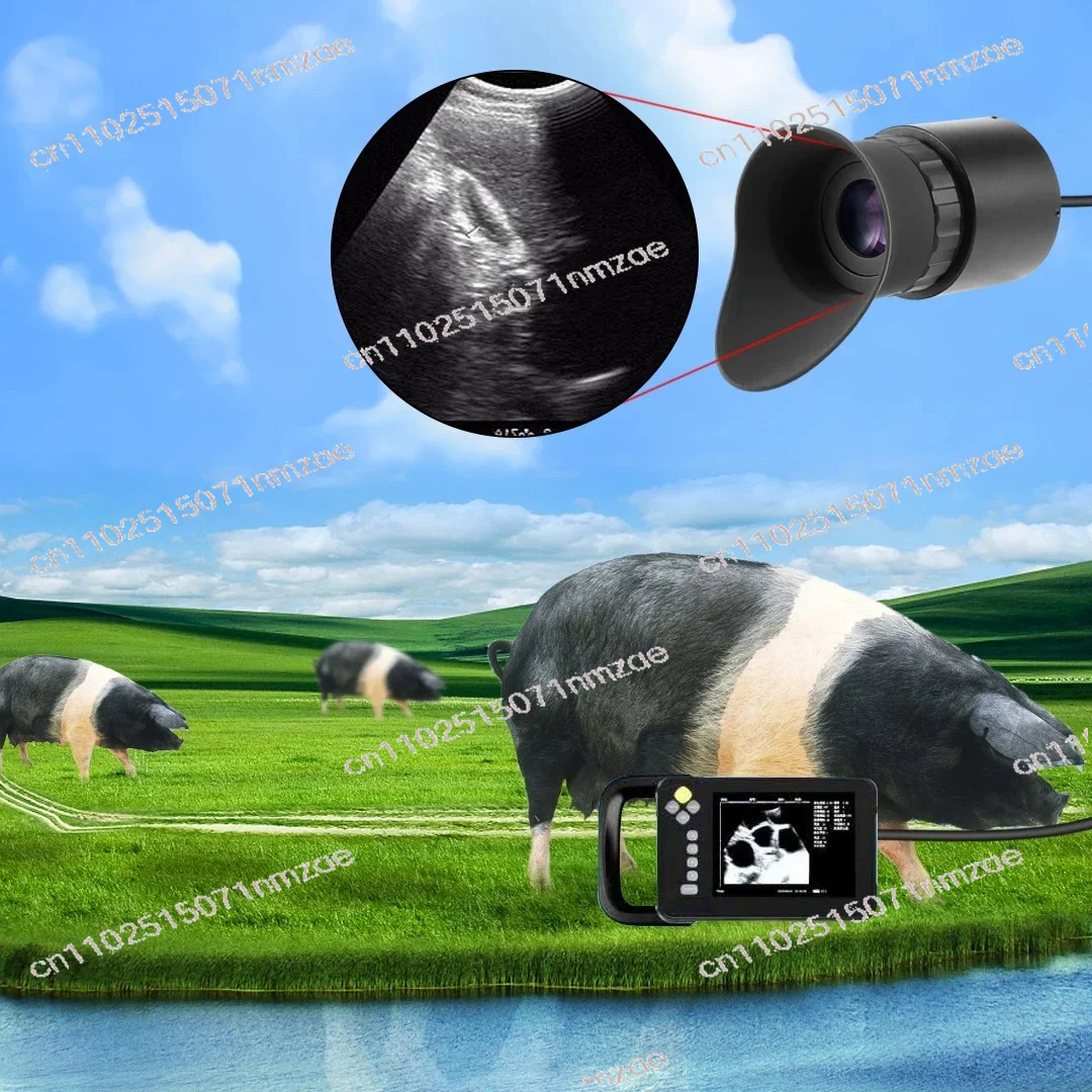 V760A-3 0.39" OLED Display, HD Portable Viewfinder for Endoscope Camera
V760A-3 0.39" OLED Display, HD Portable Viewfinder for Endoscope Camera