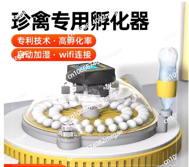 122 Eggs Canary Ruddy Chicken Incubator Automatic Dual Power Supply Intelligent Breeding Incubator Egg Hatching Box Home Use
122 Eggs Canary Ruddy Chicken Incubator Automatic Dual Power Supply Intelligent Breeding Incubator Egg Hatching Box Home Use