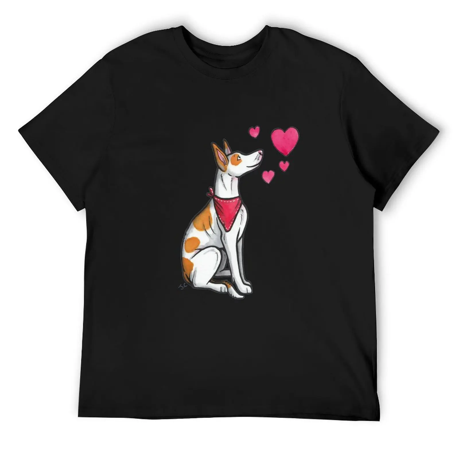 Ibizan Hound love T-Shirt for a boy cute clothes funny meme t-shirts summer shirt luxury clothes men
Ibizan Hound love T-Shirt for a boy cute clothes funny meme t-shirts summer shirt luxury clothes men