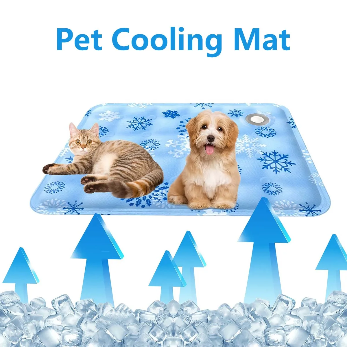 Pet Cooling Mat Dry Ice Pet Cool Pad Water Injection Cooling Dog Beds Keep Your Pet Cool Waterproof Wear Resistant For Dogs&Cats
Pet Cooling Mat Dry Ice Pet Cool Pad Water Injection Cooling Dog Beds Keep Your Pet Cool Waterproof Wear Resistant For Dogs&Cats