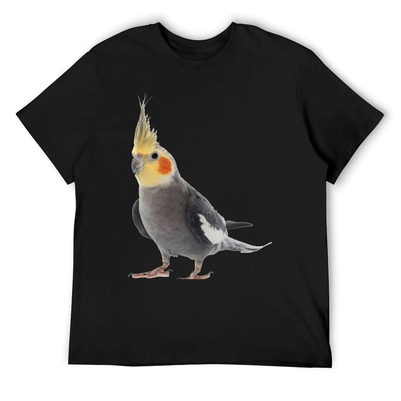 Cockatiel T-Shirt oversizeds essential t shirt Aesthetic clothing t shirts for men
Cockatiel T-Shirt oversizeds essential t shirt Aesthetic clothing t shirts for men
