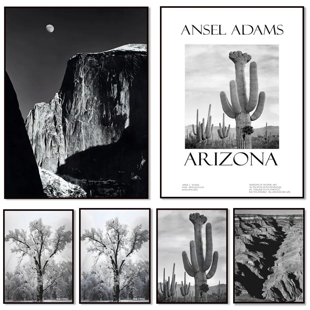 Ansel Adams Lithograph, Teton and Snake Rivers, Dogwood Flowers, Ansel Adams Half Dome, Mountains, Oak Street Landscape Poster,
Ansel Adams Lithograph, Teton and Snake Rivers, Dogwood Flowers, Ansel Adams Half Dome, Mountains, Oak Street Landscape Poster,