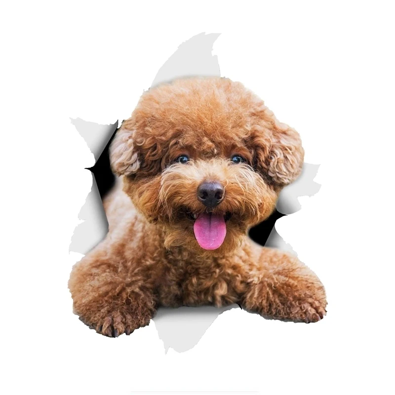 Z124# Smiling Brown Poodle Dog Car Sticker for AutoWa Ll Toilet Kid's Room Luggage Skateboard Laptop Decal Car Accessories
Z124# Smiling Brown Poodle Dog Car Sticker for AutoWa Ll Toilet Kid's Room Luggage Skateboard Laptop Decal Car Accessories