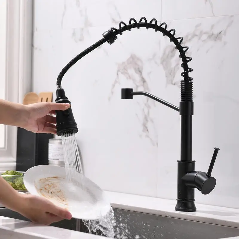 Pull Out Sprayer Kitchen Faucet, Black Stainless Steel, Single Handle, Sink Faucet for Modern Kitchens
Pull Out Sprayer Kitchen Faucet, Black Stainless Steel, Single Handle, Sink Faucet for Modern Kitchens