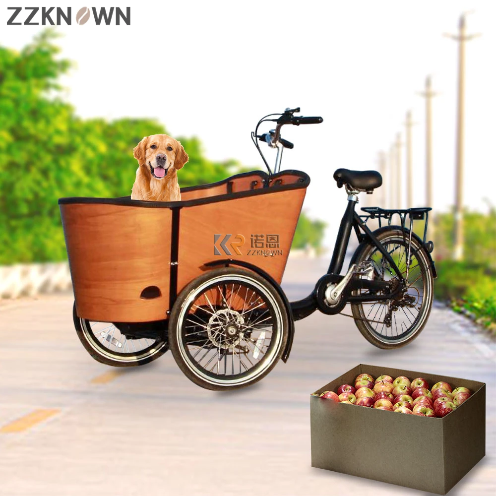 CE Certification Electric Delivery Bike with Box 3 Wheel Cargo Bike Adult Length Distance Family Front Bicycle for Kids
CE Certification Electric Delivery Bike with Box 3 Wheel Cargo Bike Adult Length Distance Family Front Bicycle for Kids